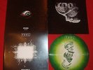 TOOL AENIMA DEMO RECORDINGS 1994 PICTURE LP VINYL