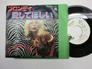 BLONDIE In The Flesh 7