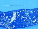 Marc Moulin   ?– Placebo Sessions 1971-1974 Rare Compilation BREAKKKK