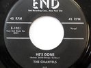 the CHANTELS 45 He's Gone / The Plea END Doo Wop Girl Group cc1048