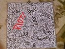Paramore - Riot -2007 White Vinyl, 12