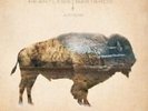 Heartless Bastards - Arrow NEW LP