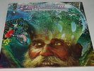AMORPHOUS ANDROGYNOUS WIZARDS OF OZ 2LP  LIMITED  VINYL - RECORD STORE DAY