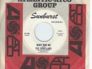 NORTHERN SOUL 45-THE MONTCLAIRS-WAIT FOR ME-SUNBURST-DJ-LISTEN