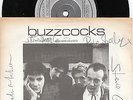 BUZZCOCKS 