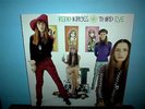 REDD KROSS  Third Eye  LP