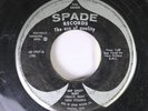 Hear Rockabilly Rare 45 Vern Pullens - Bop Crazy Baby / It'S My Life On Spade