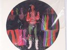 JIMI HENDRIX: The Interview PICTURE DISC vinyl lp RHINO 1982 scarce