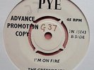 Rare 45RPM 1960s Beat, Rock n Roll, Rocker THE GREENBEATS I'm On Fire/Demo Pye