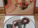 KATE BUSH - THE KICK INSIDE - STICKERED SLEEVE - PICTURE DISC - 1979 - EXCELLENT