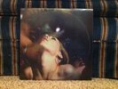 Deftones - Saturday Night Wrist 2LP (ORIGINAL 1ST PRESS) RARE & OOP