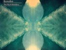BONOBO The North Borders UK 7 x 10