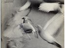 DONALD BYRD  Free Form ORIG US BLUE NOTE 4118  1962   NM