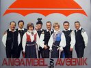 DLP / ANSAMBEL BRATOV AVSENIK / RARITÄT /