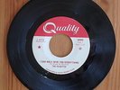 FUZZ GARAGE PUNK - The HAUNTED - I Can Only Give You Everything QUALITY