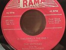 The Joytones - Is This Really The End / Gee What a Boy Original 45 on Rama