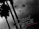 Pleasure To Meet You - Dead Sara (2015, Vinyl NEW) Explicit Version
