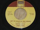 MARVIN GAYE & Tammi Terrell 45, Ain't No Mountain High Enough, Orig 1967 Tamla