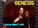GENESIS I Know What I Like 7/45 PORTUGAL 1973 Unique Picture Sleeve Rare