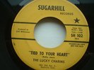 RARE ORIGINAL THE LUCKY CHARMS TIED TO YOUR HEART PROMO COPY