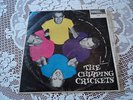 The Chirping Crickets  Vinyl LP Record