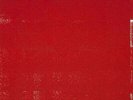Tocotronic - Tocotronic (Das Rote Album) - (Vinyl)