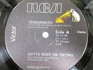 Tenderness - Gotta Keep On Trying 12