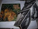 Omega:10000 lepes,foc,orig+poster LP M-/EX+