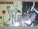 NIRVANA -INCESTICIDE