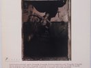 PIXIES: Surfer Rosa ORIG VINYL LP w/ GOLD INNER-SLEEVE NM 4AD Beautiful