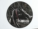 BEHEMOTH 