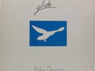 PETER DAVISON Glide LP PINA NM VERY RARE Private Issue New Age