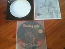 Running Wild - Under Jolly Roger - pic disc LP - hammerfall, blind guardian