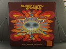 SUPER FURRY ANIMALS Rings Around The World 2 LP SET Epic 2001 Original Vinyl SFA
