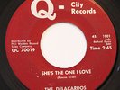 THE DELACARDOS-SHE'S THE ONE I LOVE /GOT NO ONE-NORTHERN  on Q-CITY
