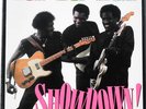 Robert Cray ALBERT COLLINS Johnny Copeland 