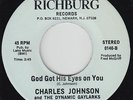 Sweet Soul Gospel 45 - Charles Johnson & Dynamic Gaylarks - Richburg - VG+ mp3