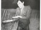 Iggy Pop - The Idiot. A1/B1. Original 1977 UK First Press. EX+. RCA: PL 12275
