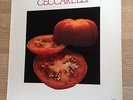 French LP André Ceccarelli Janick Top Lockwood Escoudé jazz funk 1978 EXC