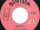 DYNAMICS - MISERY - BIGTOP 60's RnB