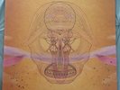 Devendra Banhart- What Will We Be LP RARE