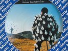 Pink Floyd Delicate Sound of Thunder LP Picture Disc PROMO 1987 Brazil Only