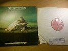 John & Beverley Martyn - Stormbringer UK 1st Press Pink Island LP RARE