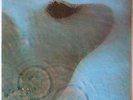 Meddle  by Pink Floyd