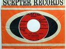 DEMOTRONS 45 Take This Love I Have / Brother Where NORTHERN SOUL Garage w2164