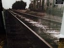 Mark Kozelek - What's Next To The Moon 12