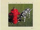 RUSH Signals 1982 UK vinyl LP EXCELLENT CONDITION