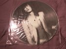 LED ZEPPELIN Rare Picture Disc L.A. 1977 Part Two Numbered # / 375 Mint No TMOQ