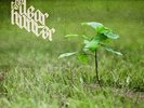 Dear Hunter - Act Ii: The Meaning Of & All Things Regarding Ms [Vinyl New]