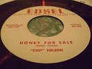 CHIP NELSON 